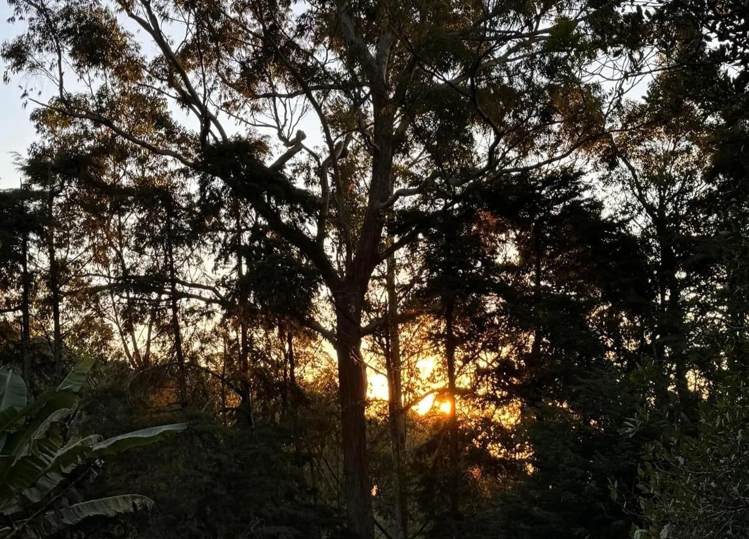 Por do Sol